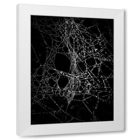 Spiderweb No 4 White Modern Wood Framed Art Print by Carson, Brian
