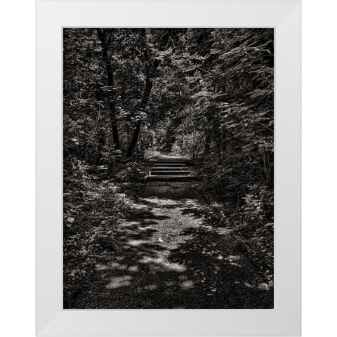 Walk in the Park White Modern Wood Framed Art Print by Carson, Brian
