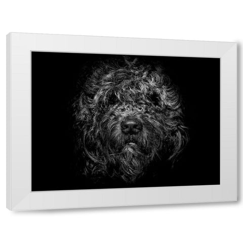 Ziggy Portrait White Modern Wood Framed Art Print by Carson, Brian