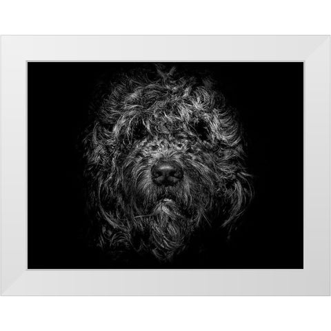 Ziggy Portrait White Modern Wood Framed Art Print by Carson, Brian