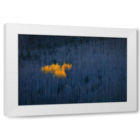 Heart of Aspens White Modern Wood Framed Art Print by Zheng, Michael