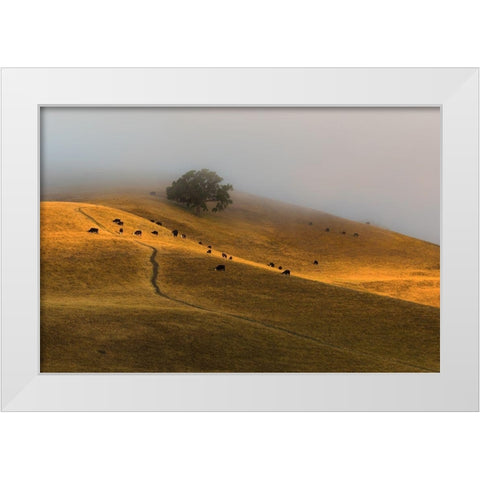 A Summer Morning in TriValley White Modern Wood Framed Art Print by Qiu, Jenny