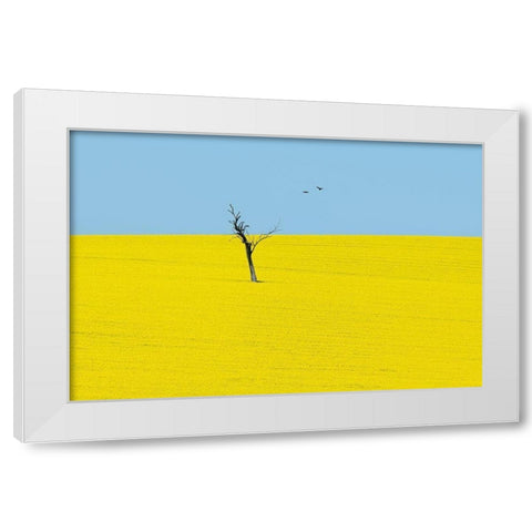 Canola Flowers White Modern Wood Framed Art Print by Ivylu