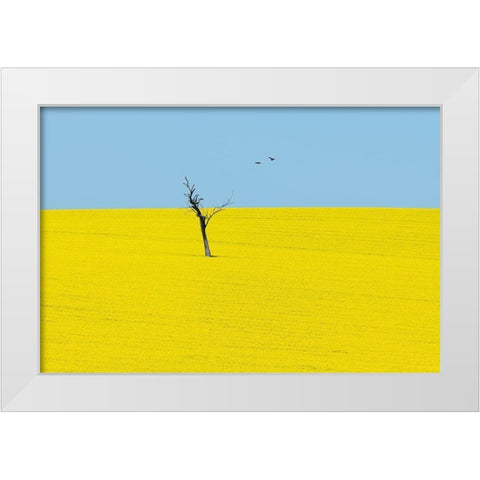 Canola Flowers White Modern Wood Framed Art Print by Ivylu