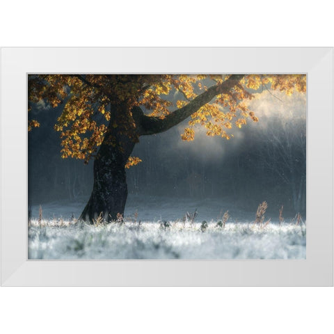 Morning breath White Modern Wood Framed Art Print by Saowanee, Suntararak