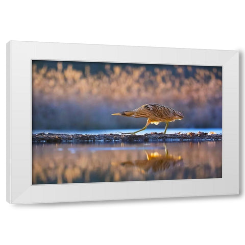 Patrol White Modern Wood Framed Art Print by Chang, Phillip