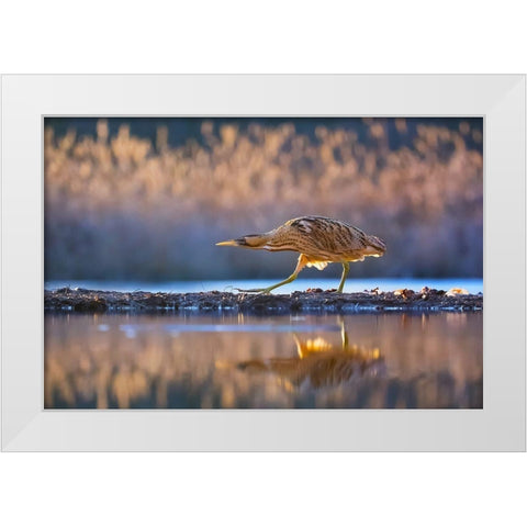 Patrol White Modern Wood Framed Art Print by Chang, Phillip