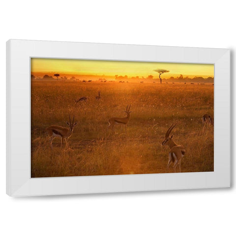 Morning White Modern Wood Framed Art Print by Chang, Phillip