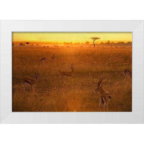 Morning White Modern Wood Framed Art Print by Chang, Phillip