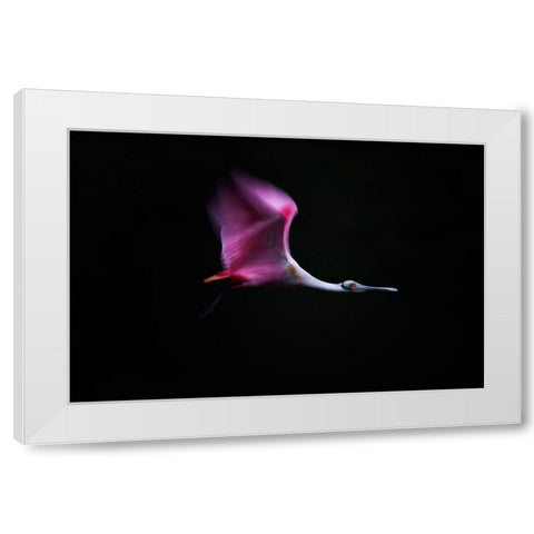 Rose in the Air White Modern Wood Framed Art Print by Chang, Phillip