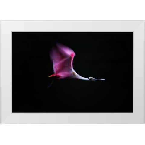 Rose in the Air White Modern Wood Framed Art Print by Chang, Phillip