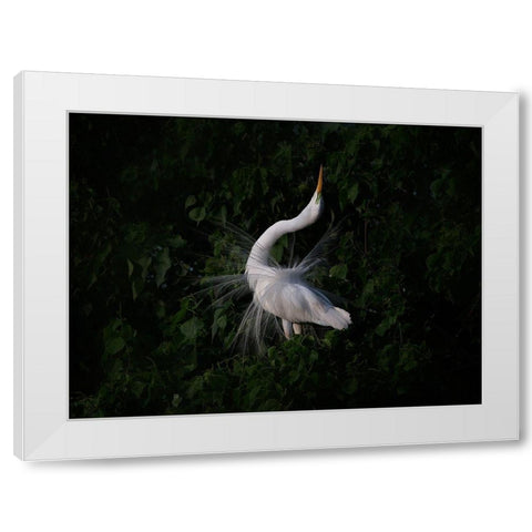 The Call White Modern Wood Framed Art Print by Chang, Phillip