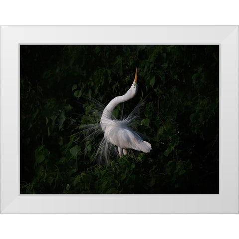 The Call White Modern Wood Framed Art Print by Chang, Phillip