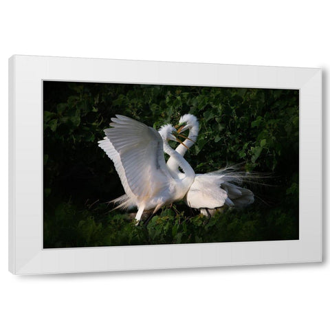 Love is in the air White Modern Wood Framed Art Print by Chang, Phillip