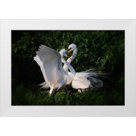 Love is in the air White Modern Wood Framed Art Print by Chang, Phillip