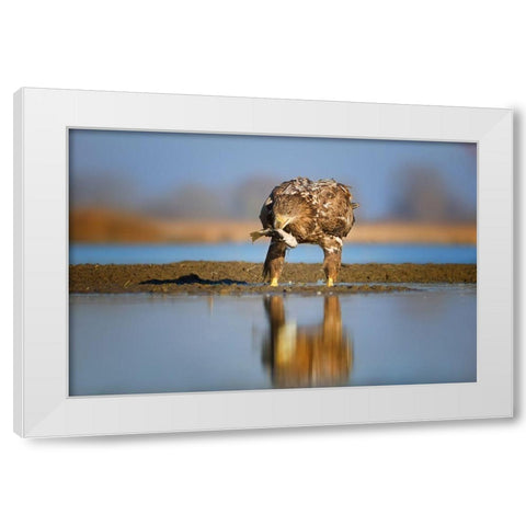 Dinner time White Modern Wood Framed Art Print by Chang, Phillip