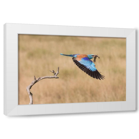 The Roller White Modern Wood Framed Art Print by Chang, Phillip