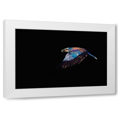 The Roller hunting White Modern Wood Framed Art Print by Chang, Phillip