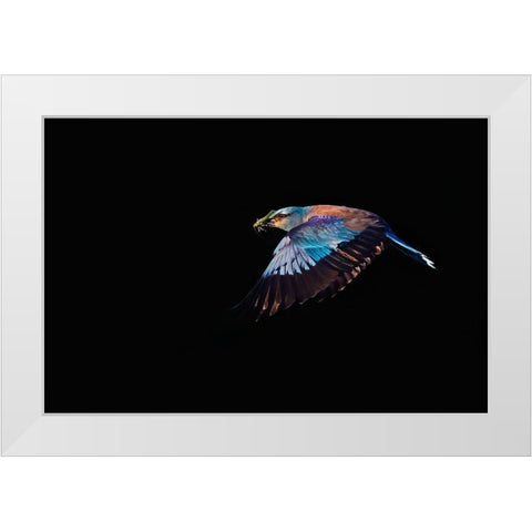 The Roller hunting White Modern Wood Framed Art Print by Chang, Phillip