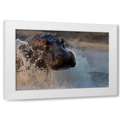 The Hippo White Modern Wood Framed Art Print by Chang, Phillip