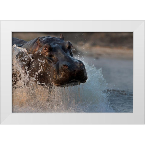 The Hippo White Modern Wood Framed Art Print by Chang, Phillip