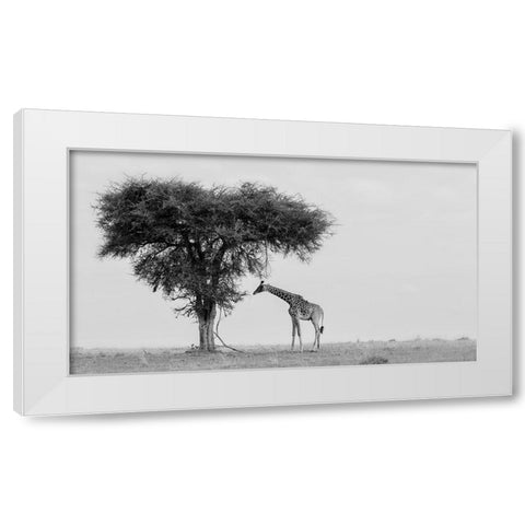 The wild White Modern Wood Framed Art Print by Chang, Phillip