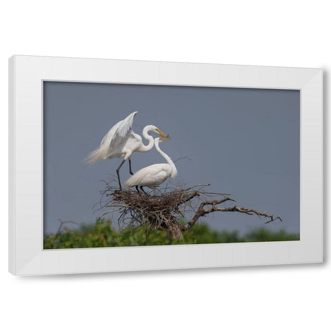 Working White Modern Wood Framed Art Print by Chang, Phillip