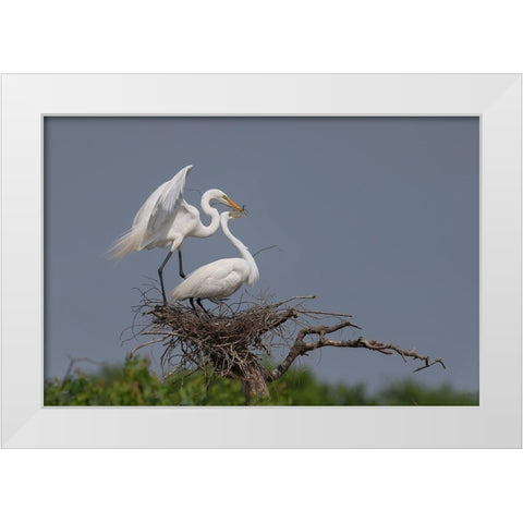 Working White Modern Wood Framed Art Print by Chang, Phillip