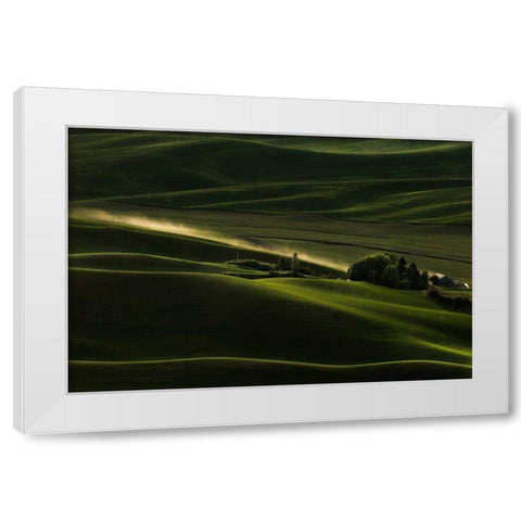 Farmland White Modern Wood Framed Art Print by Chang, Phillip