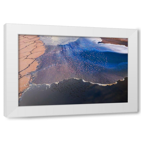 The flower White Modern Wood Framed Art Print by Chang, Phillip