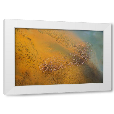 The footprint White Modern Wood Framed Art Print by Chang, Phillip