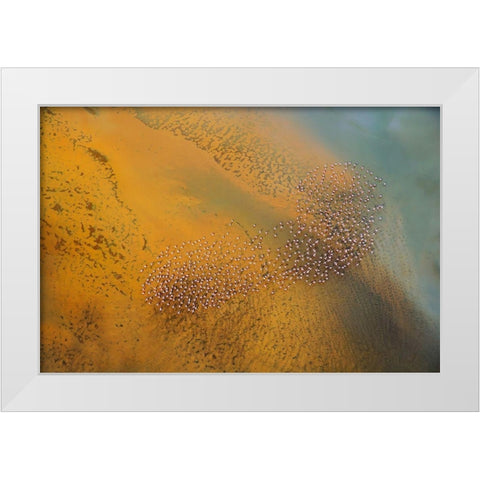 The footprint White Modern Wood Framed Art Print by Chang, Phillip