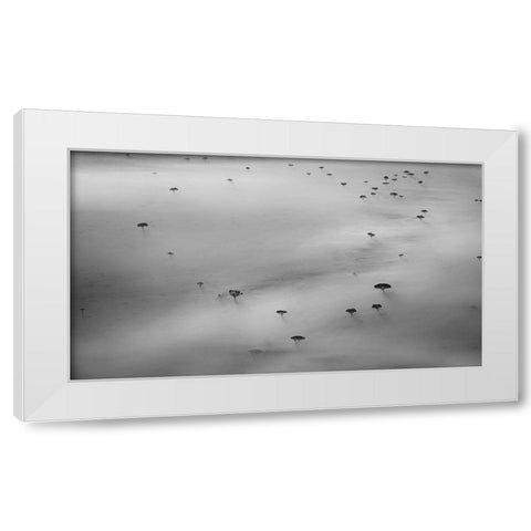 The trees White Modern Wood Framed Art Print by Chang, Phillip