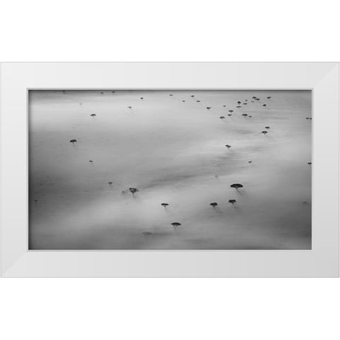 The trees White Modern Wood Framed Art Print by Chang, Phillip