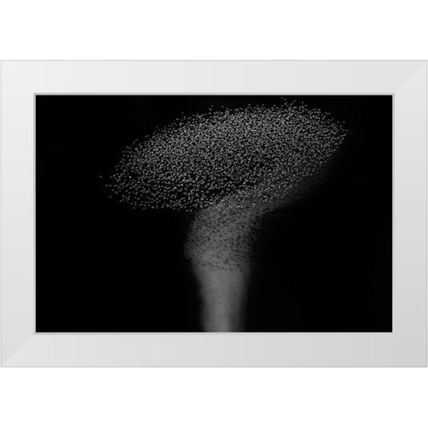 The question mark White Modern Wood Framed Art Print by Chang, Phillip