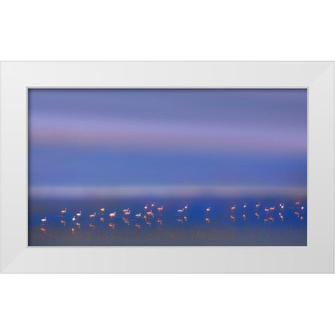 Early Morning White Modern Wood Framed Art Print by Chang, Phillip