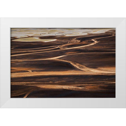 The wild White Modern Wood Framed Art Print by Chang, Phillip