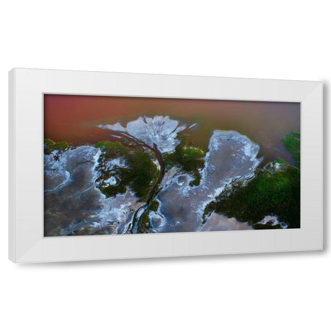 The big flower White Modern Wood Framed Art Print by Chang, Phillip