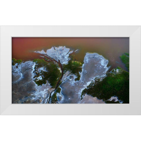 The big flower White Modern Wood Framed Art Print by Chang, Phillip