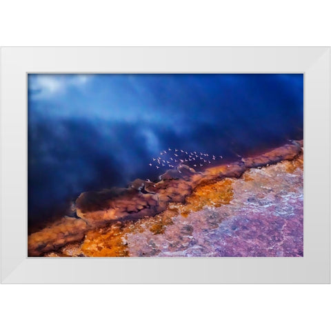 Flamingo fly over the lake White Modern Wood Framed Art Print by Chang, Phillip