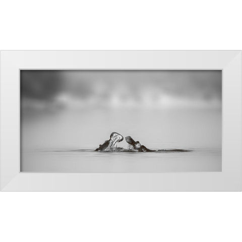 Water conversation White Modern Wood Framed Art Print by Chang, Phillip