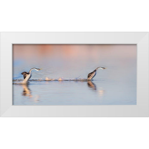 Chase After White Modern Wood Framed Art Print by Chang, Phillip