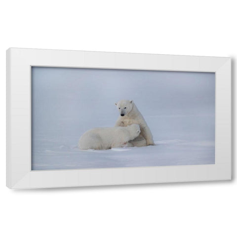 Feeding White Modern Wood Framed Art Print by Chang, Phillip
