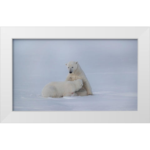 Feeding White Modern Wood Framed Art Print by Chang, Phillip