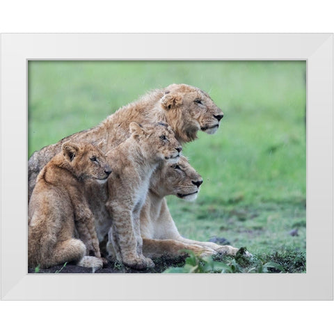 In the rain White Modern Wood Framed Art Print by Chang, Phillip