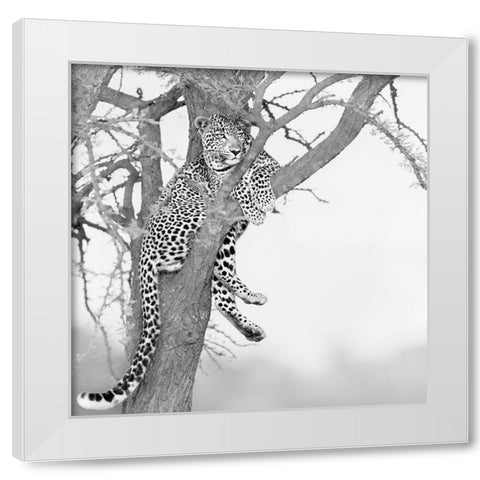 Stand high see far White Modern Wood Framed Art Print by Chang, Phillip