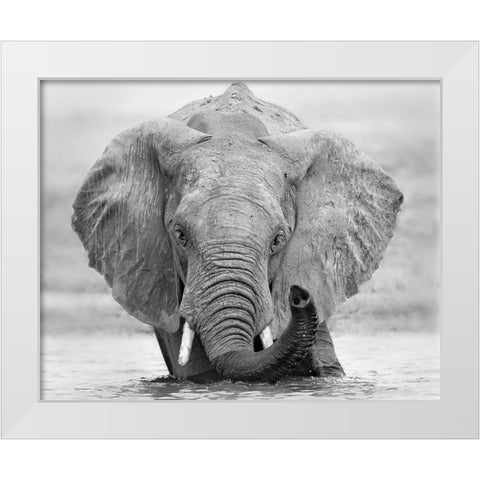 How are you White Modern Wood Framed Art Print by Chang, Phillip