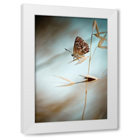 Dream in blue White Modern Wood Framed Art Print by Bravin, Fabien