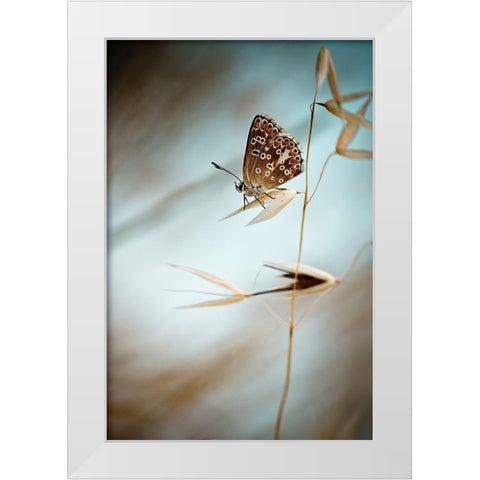 Dream in blue White Modern Wood Framed Art Print by Bravin, Fabien