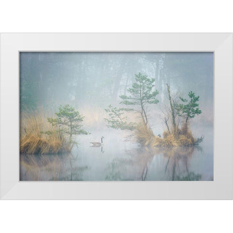Hide and Seek White Modern Wood Framed Art Print by George, Andrew